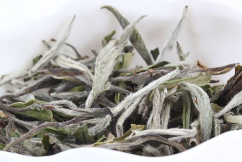 什么是白茶？白茶的功效與作用.jpg