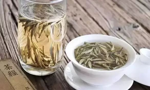 白茶屬于什么茶系？白茶怎么喝.jpg